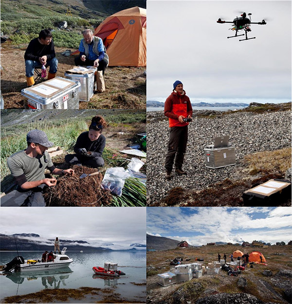 Figure 5 From 2016-2019 the REMAINS of Greenland research project investigated the short and long-term net effects of climate change on the preservation of archaeological sites in the Nuuk region in southwest Greenland.